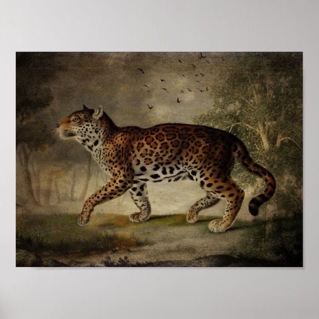 Poster Emprunté à partir de l'arbre Rose (Devant)