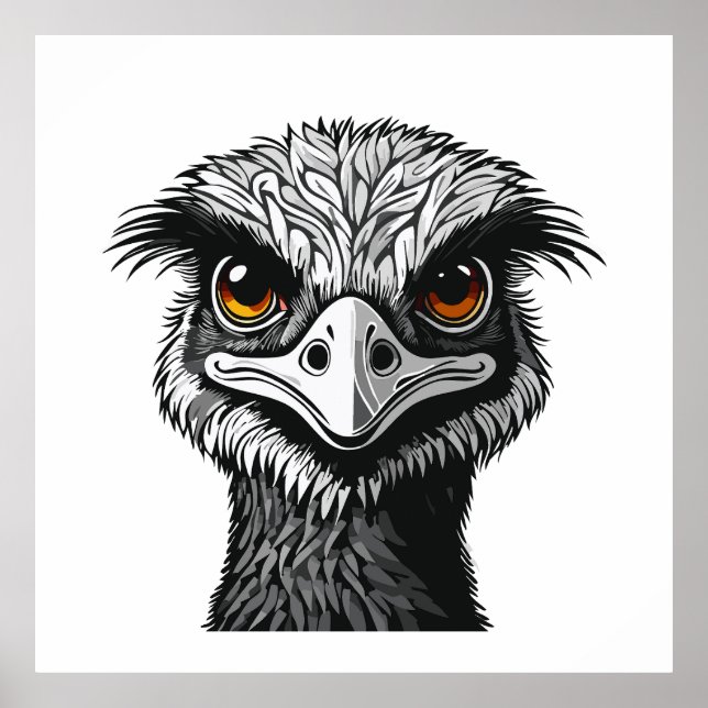 Poster Emu bird head (Devant)