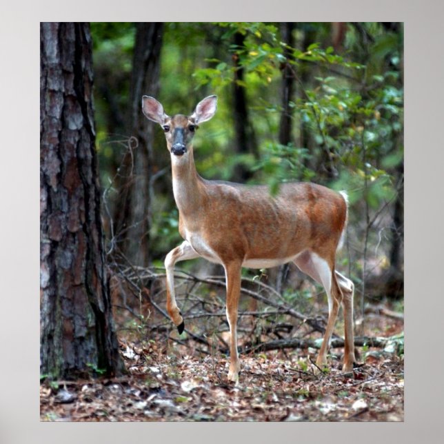 Poster En alerte (Devant)