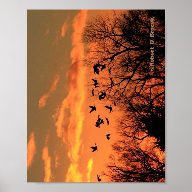 Poster en bois de silhouette du coucher du soleil  (Devant)