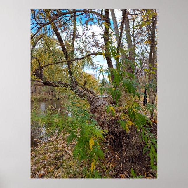 Poster En l'absence de musique (Devant)