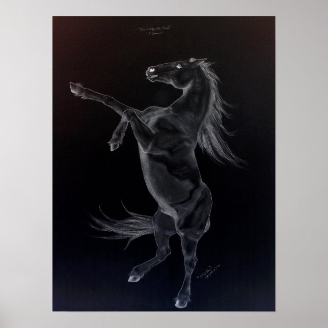 Poster en noir et blanc Friesian Rearing (Devant)