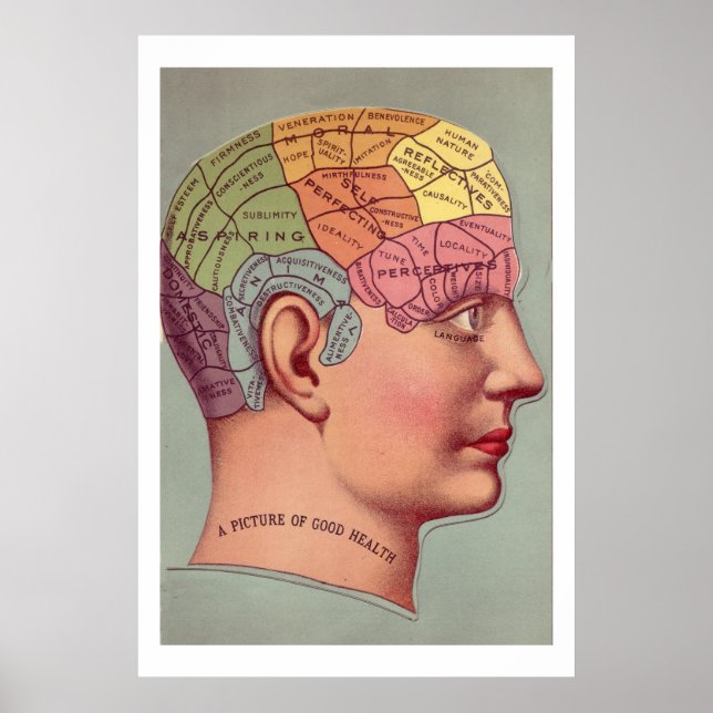 Poster en tête de pharmacologie antique (Devant)