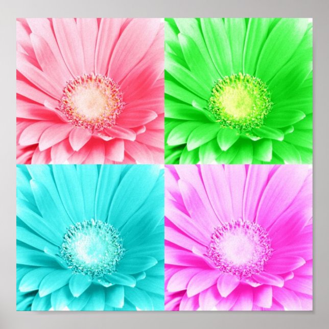 Poster en toile marron Gerbera Daisy (Devant)