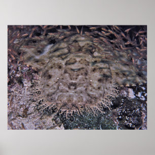 Poster En vue claire