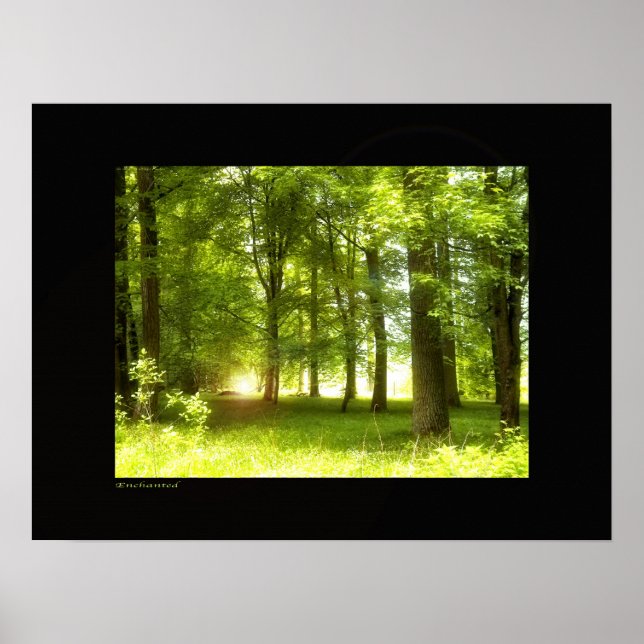 Poster enchanté (Devant)