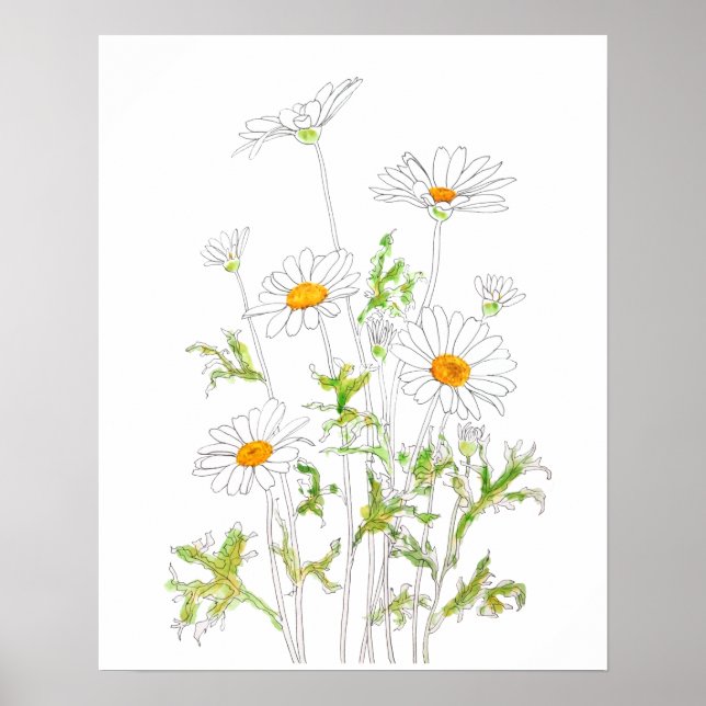 Poster encre blanche Margaret daisy et aquarelle (Devant)
