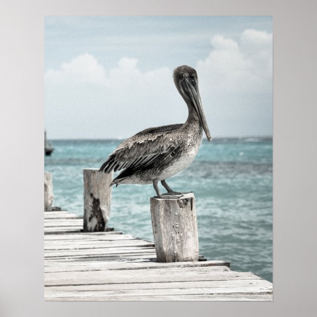 Poster ENFANT (conception pélicane) ~ (Devant)