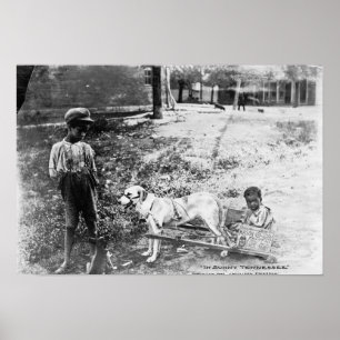 Poster Enfants noirs avec chien tiré Panier photo
