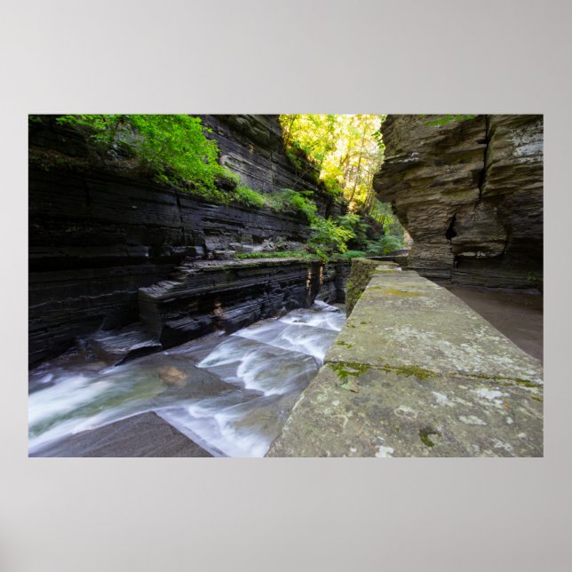 Poster Enfield Glen, Robert H Treman State Park, NY (Devant)