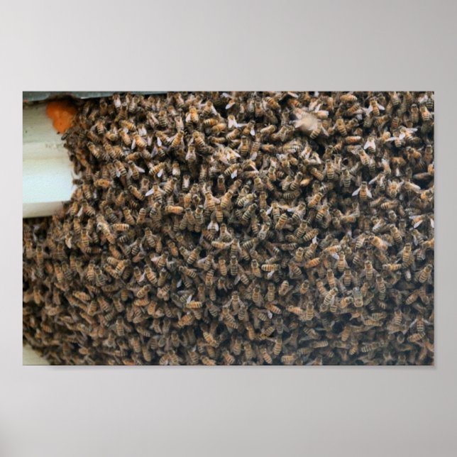 Poster Enfoncer (Devant)
