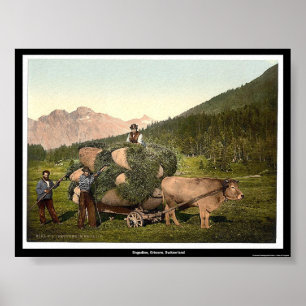 Poster Engadine, Grisons, Suisse