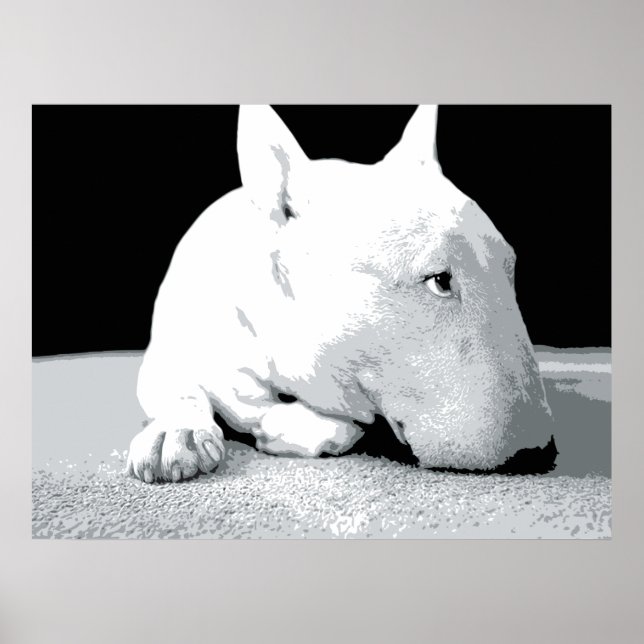 Poster English Bull Terrier, Pop Art Print (Devant)