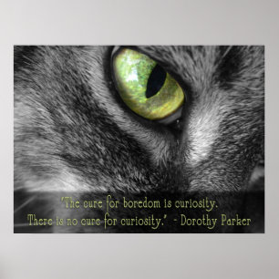 Poster Ennui - Curiosité, Dorothy Parker