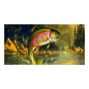 Poster Énorme bourrage de truites arc-en-ciel