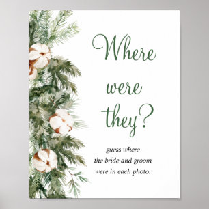 Poster Enseigne de Baby Shower de mariage en pin et hiver
