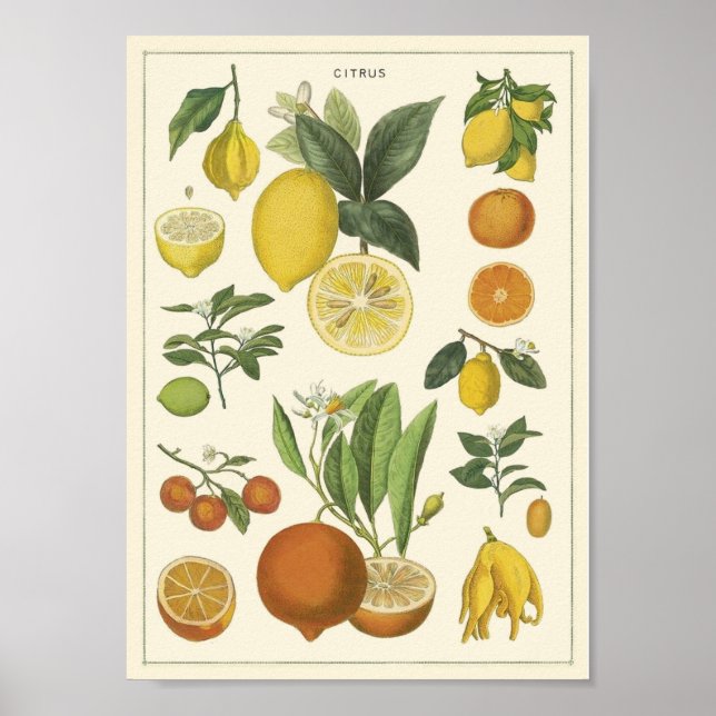 Poster enseignement vintage (Devant)