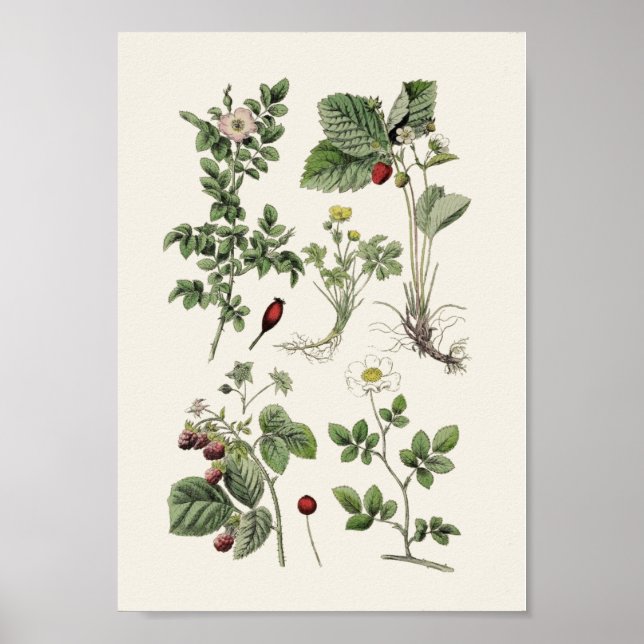 Poster enseignement vintage (Devant)