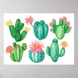Poster Ensemble de cactus à fleurs. Éléments isolés sur u