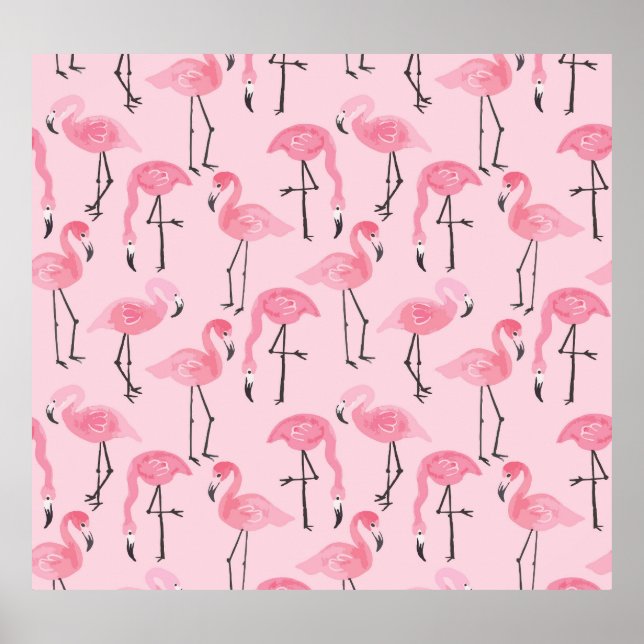 Poster Ensemble Flamant rose rose, Motif d'été tropical. (Devant)