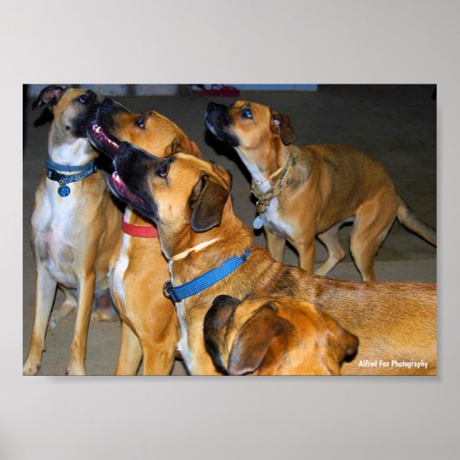 Poster Ensemble, ils ne font qu'un (Devant)