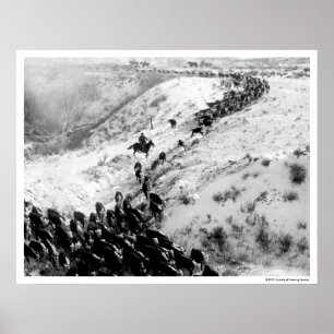 Poster Entraînement des bétail pendant l'hiver