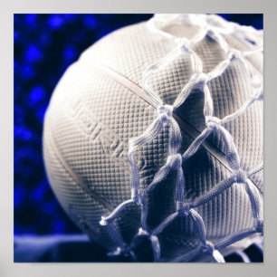 Poster Entraîneur de volley-ball et Net