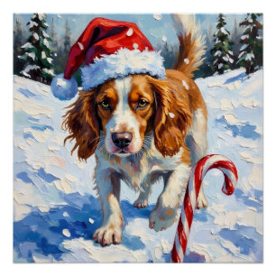 Poster Épagneul Breton pointant sur des bonbons de Noël