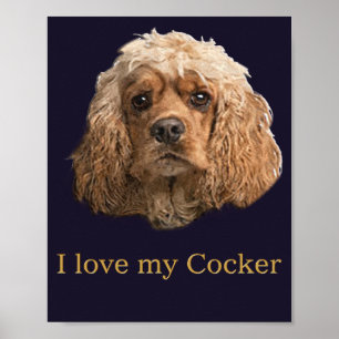 Poster épagneuls cocker