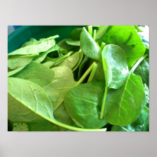 Poster Épinard