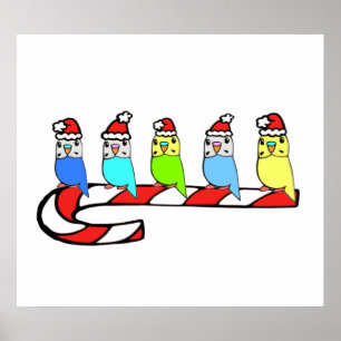 Poster Épouses - Noël