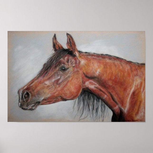 Poster Équipe (Devant)