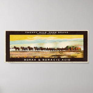 Poster Équipe de 20 Mules Borax
