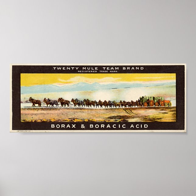 Poster Équipe de 20 Mules Borax (Devant)