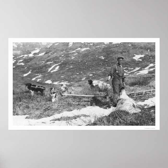 Poster Équipe de chiens de l'Alaska Chasse 1912 (Devant)