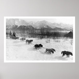 Poster Équipe de chiens Husky Alaska 1918