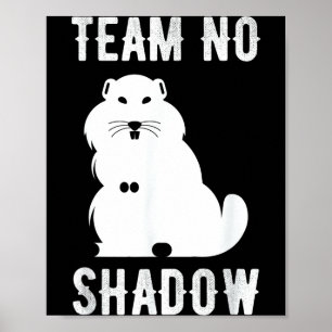 Poster Équipe drôle de météorologie sans ombre Groundhog 