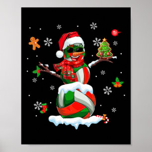 Poster Équipement De Volley-ball Comme Snowman Sungles Xm