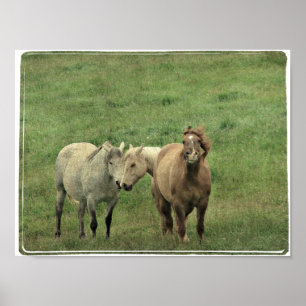 Poster Équipements amusants