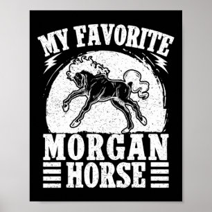 Poster Équitation équitation Favori Morgan Horse Rider