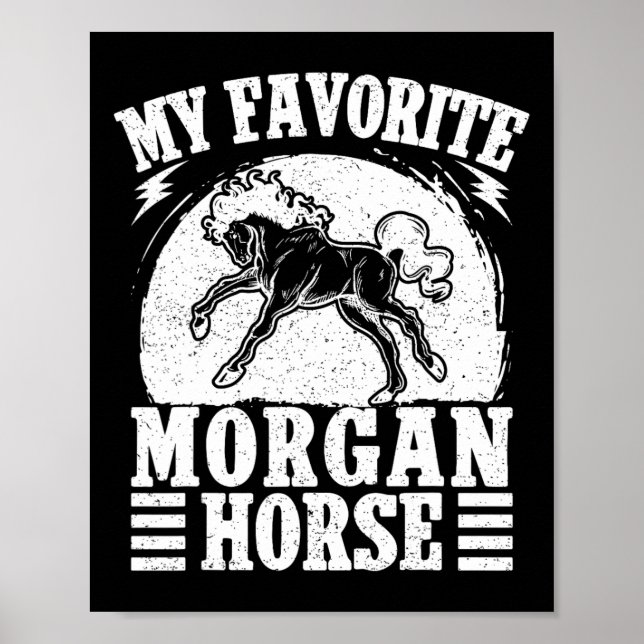 Poster Équitation équitation Favori Morgan Horse Rider (Devant)