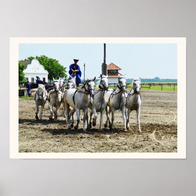 Poster Équitation hongroise (Devant)