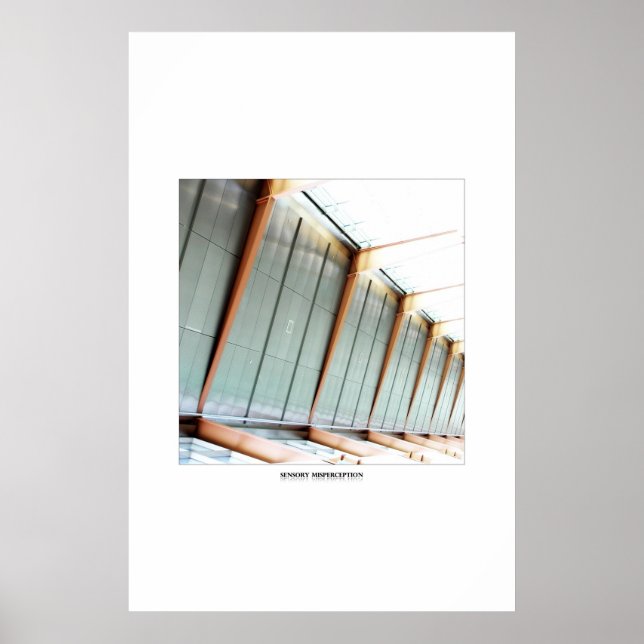 Poster Erreur sensorielle (Devant)