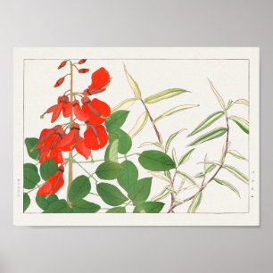 Poster Erythrina, Panicum par Tanigami Konan