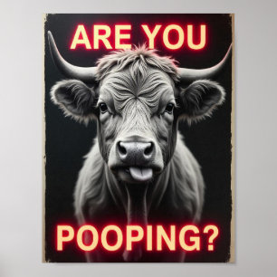 Poster Es-Tu En Train De Cacher ? Funky Highland Cow, Cow