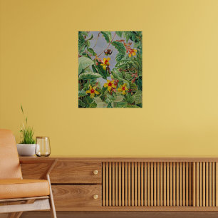 Poster Escalade brésilienne arbustes et oiseaux de mer