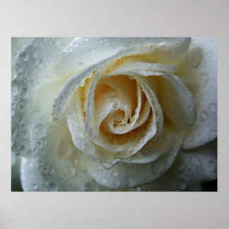 Poster Escalade Iceberg Rosa