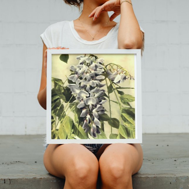 Poster Escalade Windblown Wisteria Vine peinture acryliqu (Créateur téléchargé)