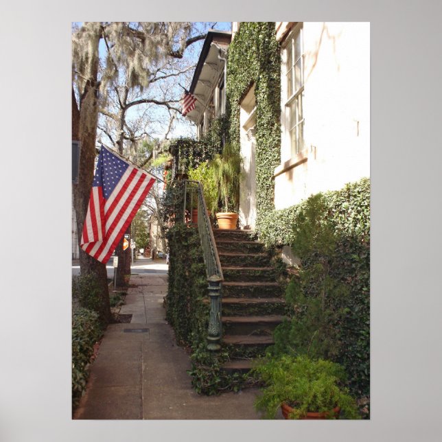 Poster Escalier Savannah encadré Imprimer (Devant)