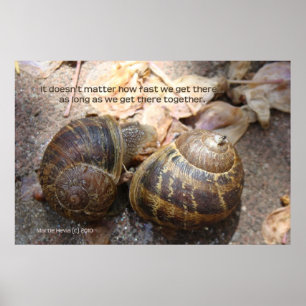 Poster Escargots en amour